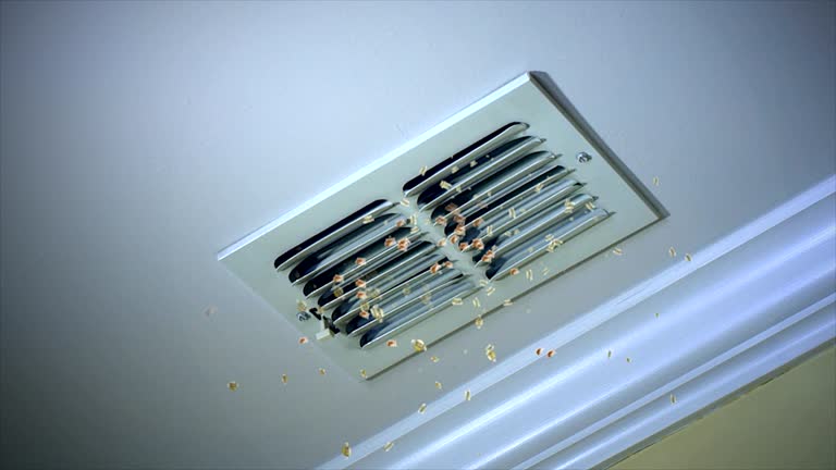 Best Air Duct Cleaning Near Me in La Palma, CA