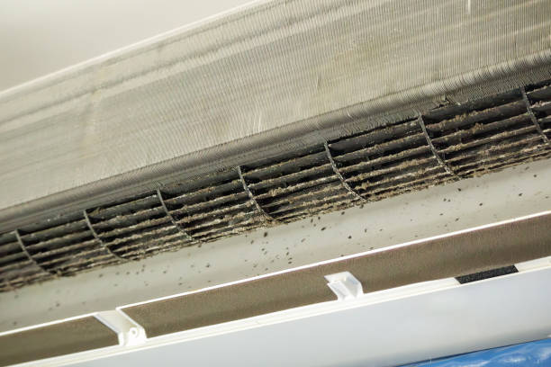 Best Ventilation Cleaning Services  in La Palma, CA