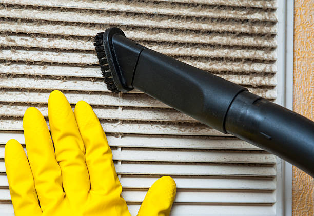 Best Air Duct Cleaning Near Me  in La Palma, CA